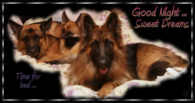 Sweet Dreams Deutsch Sweet Dreams Deutsch